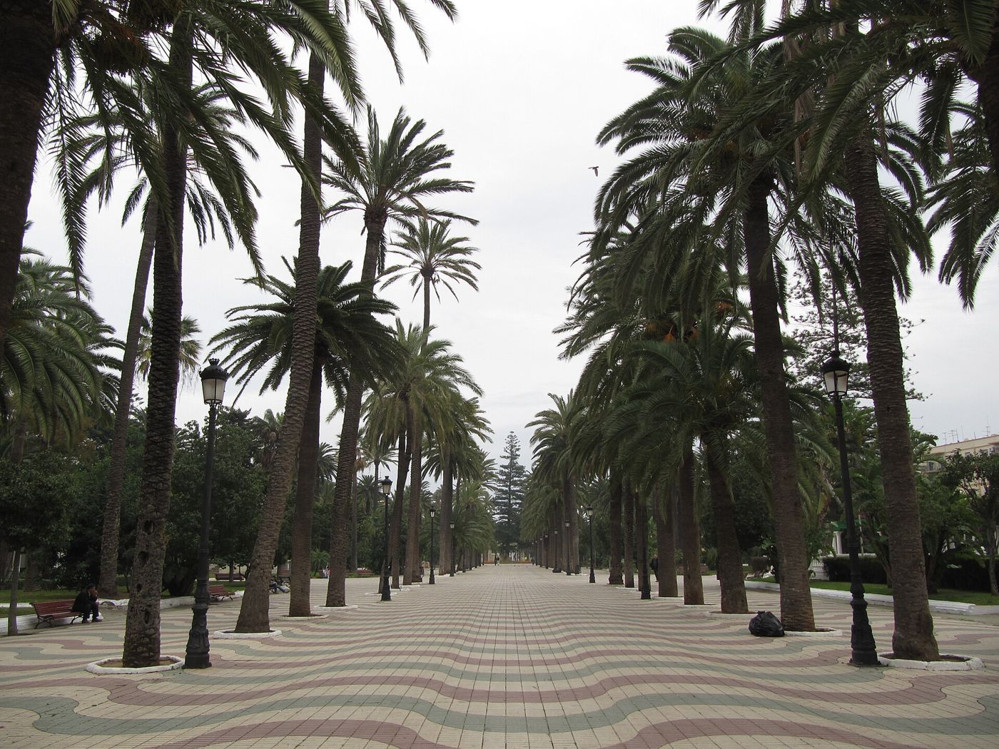 El paseo central del Parque Hernández, entre palmeras, con su suelo de baldosas ondulado