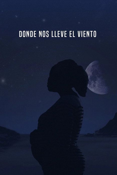 Cartel de Donde nos lleve el viento