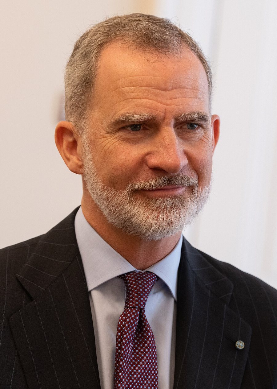 Retrato del rey Felipe VI, con traje oscuro y corbata