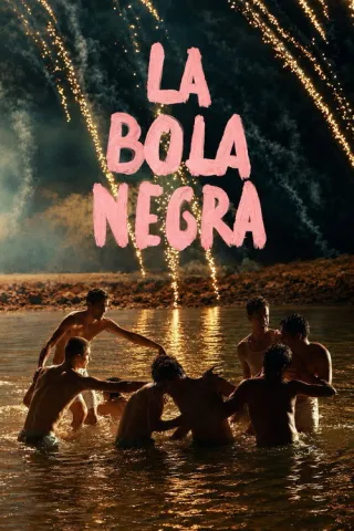 Cartel de La bola negra