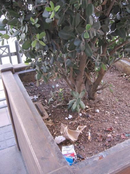 El Gobierno decidió hace un tiempo colocar estas jardineras por el centro de la ciudad par...