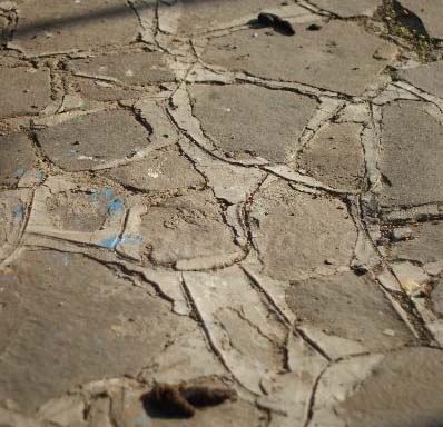 El Parque Hernández recoge, a diario, esta imagen que nos remite 'Uno de Melilla': Cacas d...
