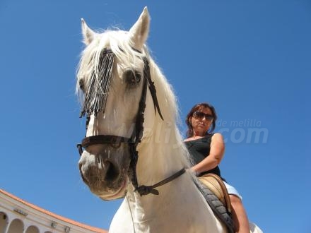 'Junto' tiene la suerte de contar con una amazona de lujo, Davinia Alcalde