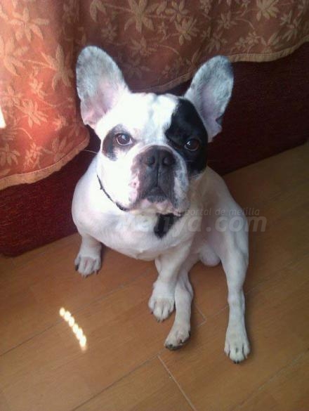 Janto es como un chiquillo