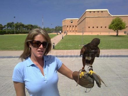 El Centro de Aves Rapaces 'Quinto' en el Fuerte de Rostrgordo es uno de los grandes atract...