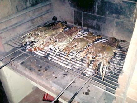 Son langostas individuales a la brasa