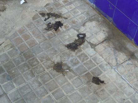 'Uno de Melilla' nos hace llegar esta denuncia fotográfica correspondiente a calles del ba...