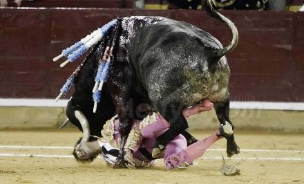 Espeluznante cogida la sufrida por el jerezano Juan José Padilla en las fiestas del Pilar