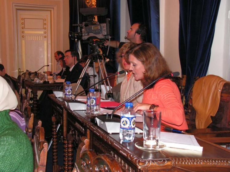 Celia Sarompas, responsable del área de Bienestar Social del PSOE