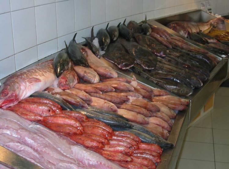 El martes no llegó pescado fresco a la ciudad
