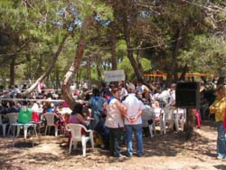 Imagenes de la Romería de 2006