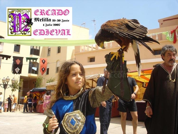 Andrea, la pequeña cetrera