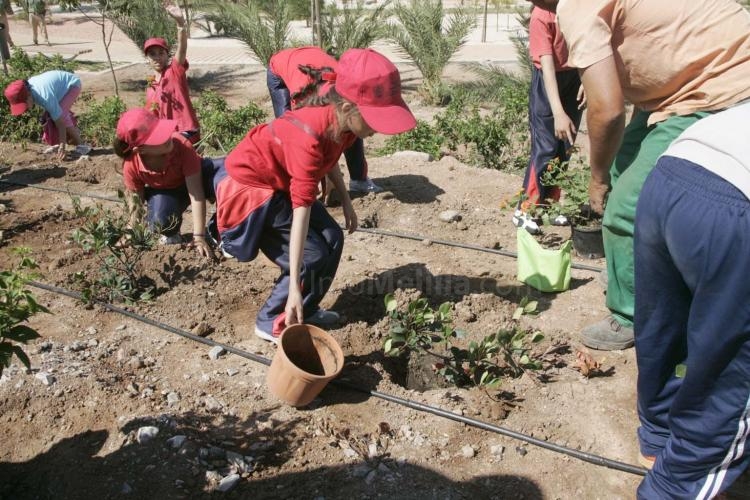 Numerosos escolares melillenses han participado en la plantación