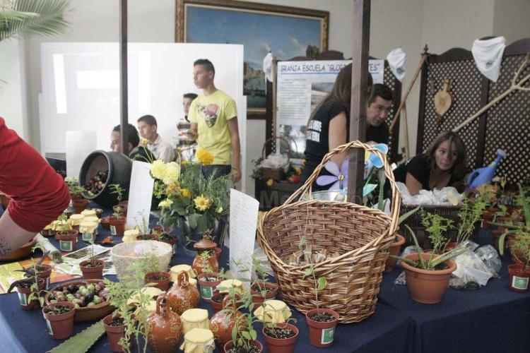 Melilla celebra la III Muestra Intercultural de sensibilización sobre el fenómeno de la inmigración