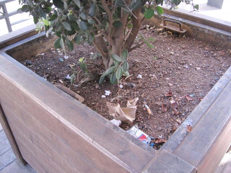 Comerciantes del centro se quejan de la falta de limpieza en sus aceras