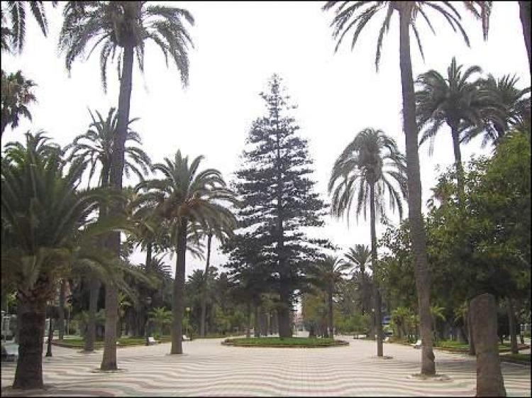 El Gobierno local no prevé el inicio de la remodelación del Parque Hernández, al menos, hasta el próximo otoño