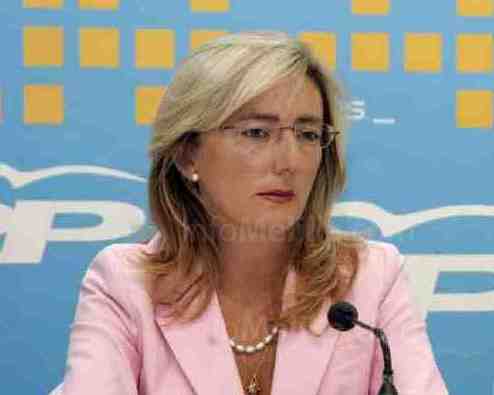 El PP no se explica cómo IU presenta una enmienda a los Presupuestos Generales siendo socios de CpM