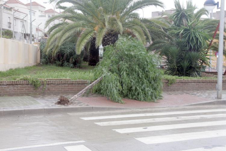 Melilla, en alerta amarilla por rachas de viento de hasta 85 kilómetros por hora