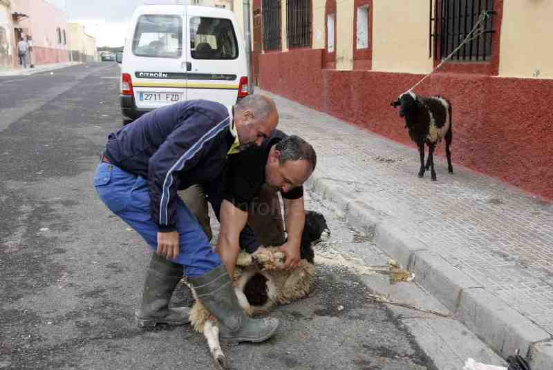 Melilla declara día festivo la celebración de la Pascua del Sacrificio a partir de 2010