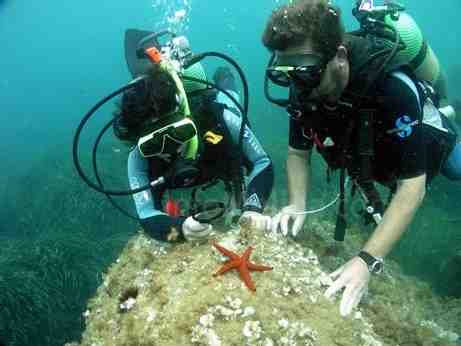 Los clubes de buceo de Melilla impartirán nuevos cursos en septiembre
