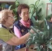 El IMSERSO destina 255.000 euros a diferentes instituciones sociales melillenses