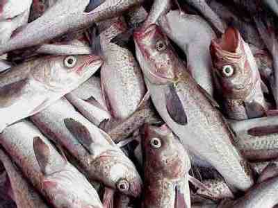 Melilla pide a la Delegación del Gobierno mayor flexibilidad en los trámites que se exigen en la aduana para importar el pescado de Marruecos