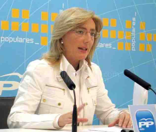 El Partido Popular reclama en el Pleno del Senado un Plan Estatal de Autismo