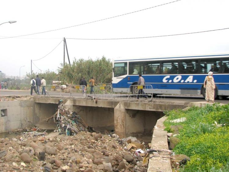 Emilio Folgar denuncia la “lamentable” situación del puente de la carretera de Farhana y reclama una actuación urgente de los responsables