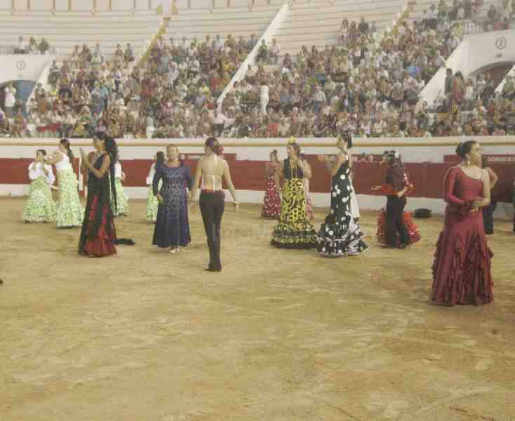 El mejor fotorreportaje de una Feria 2009 que brilla, limpia y da esplendor