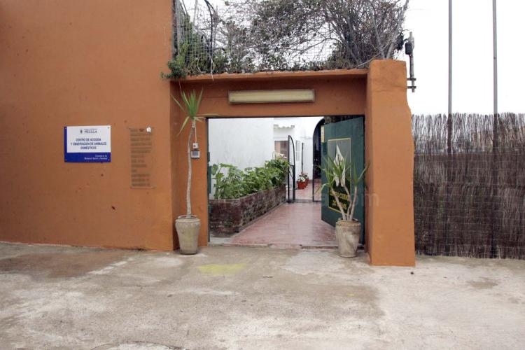 Melilla logra dar un giro de 180 grados a su política de cuidado de animales abandonados con el nuevo Centro de Acogida