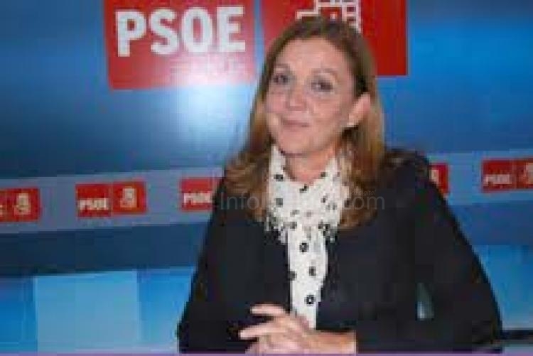 Celia Sarompas, portavoz adjunta del Grupo Socialista