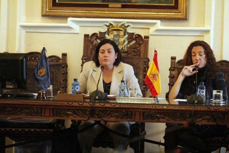 El pleno ha estado presidido por la vicepresidenta primera, Cristina Rivas