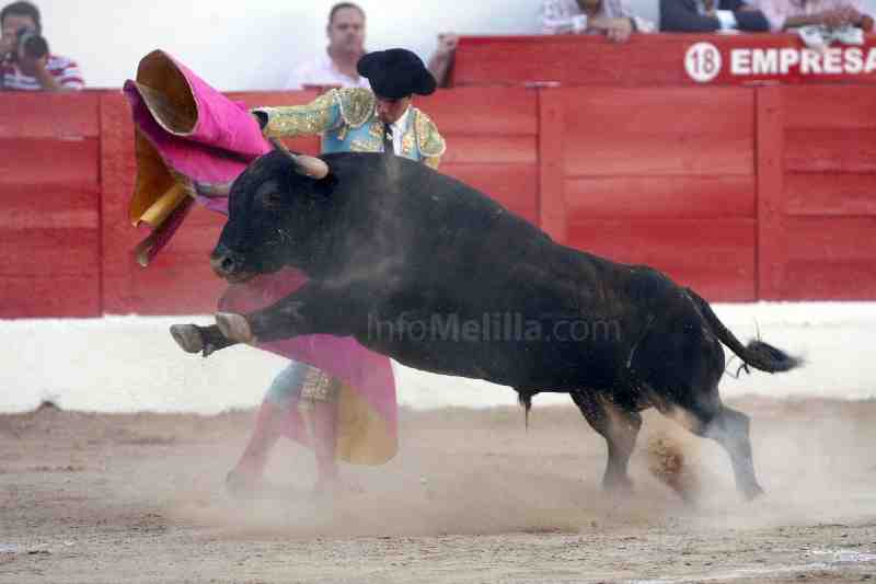 Adolfo Ramos se permite el lujo de indultar un novillo-toro en Becerril de la Sierra