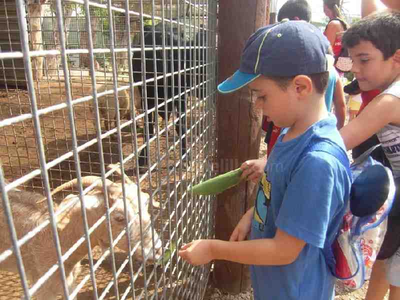 La Escuela de Verano de la FMF se está desarrollando con un enorme éxito