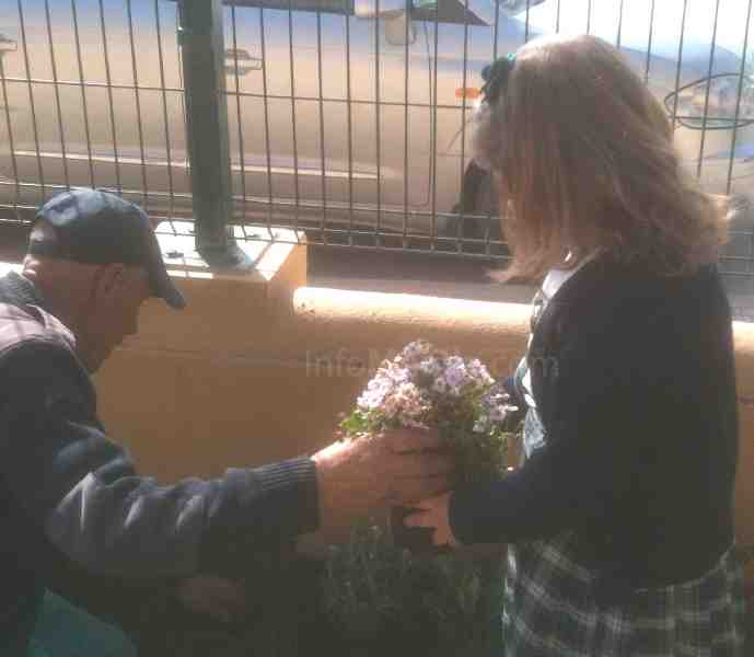 El Colegio Enrique Soler da un paso decisivo para convertirse en 'Ecoescuela'