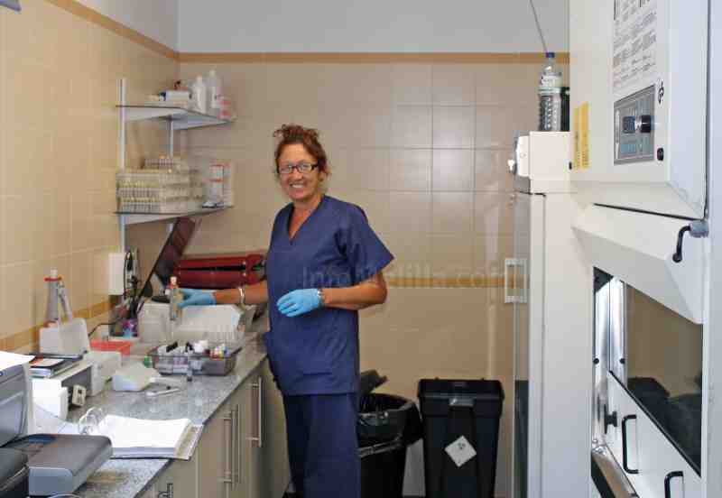 Melilla celebra con sentido de compromiso el Día Mundial del Donante de Sangre