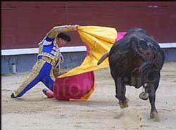 El PP pedirá el reconocimiento del carácter cultural de la Fiesta de los Toros y normas para su protección