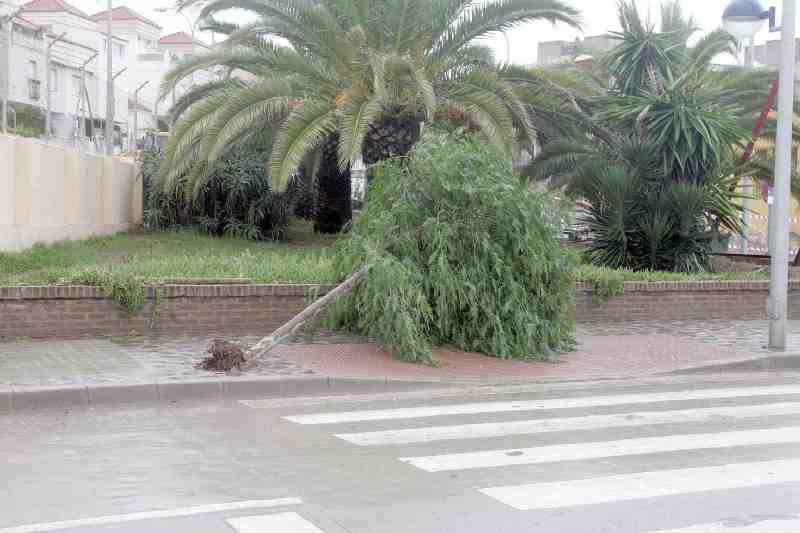 La Agencia Estatal de Meteorología decreta alerta amarilla en Melilla por fuertes vientos