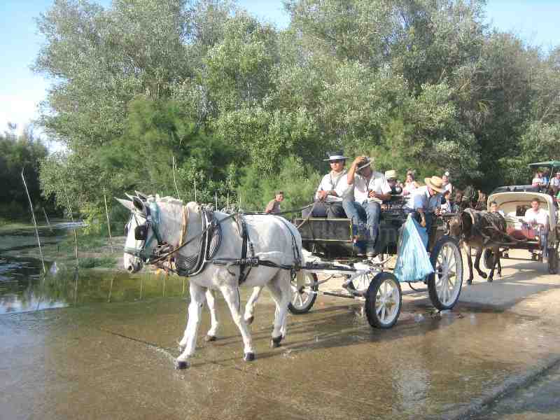 Manuel Lozano recita un inolvidable Pregón a la Hermandad de María Santísima del Rocío