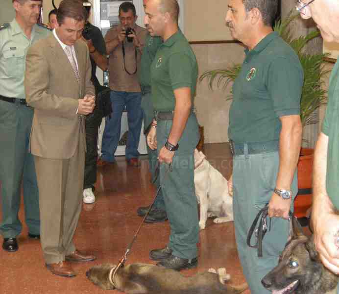 La Guardia Civil melillense cierra el año con la incautación de cinco toneladas de droga