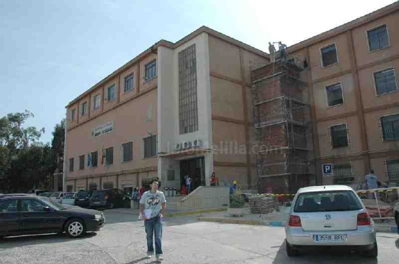 La Universidad de Granada y Guelaya reforestan las zonas verdes del Campus melillense