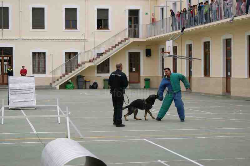La Unidad Canina de la Policía Local se acerca a los centros docentes de Melilla