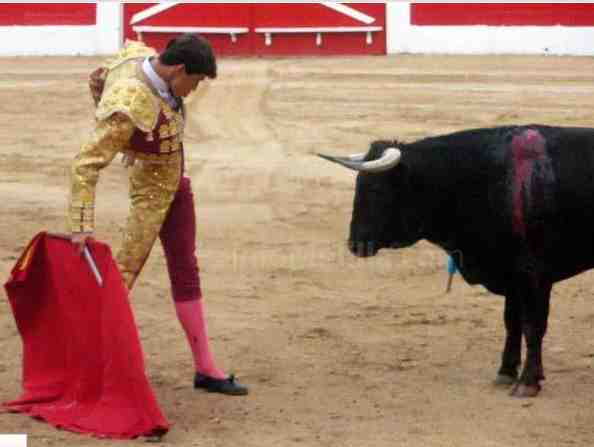 El novillero melillense Adolfo Ramos abre la cartelería de la Feria de Málaga 2010