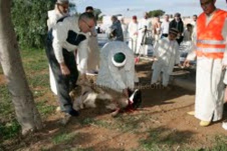 Los musulmanes melillenses celebran hoy el Aid El Kebir, la fiesta islámica más grande, con el sacrificio de más de 5.000 borregos