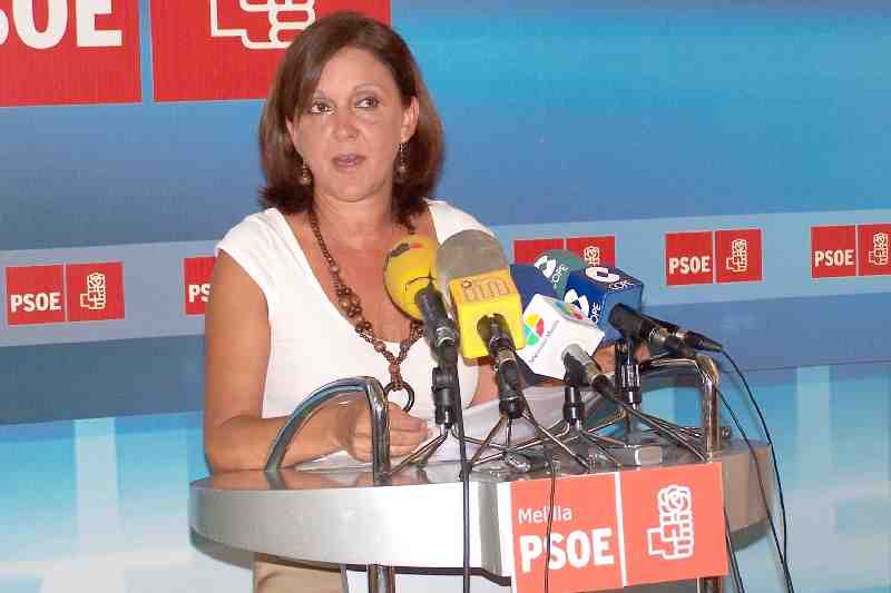Celia Sarompas, portavoz adjunta del Grupo Socialista
