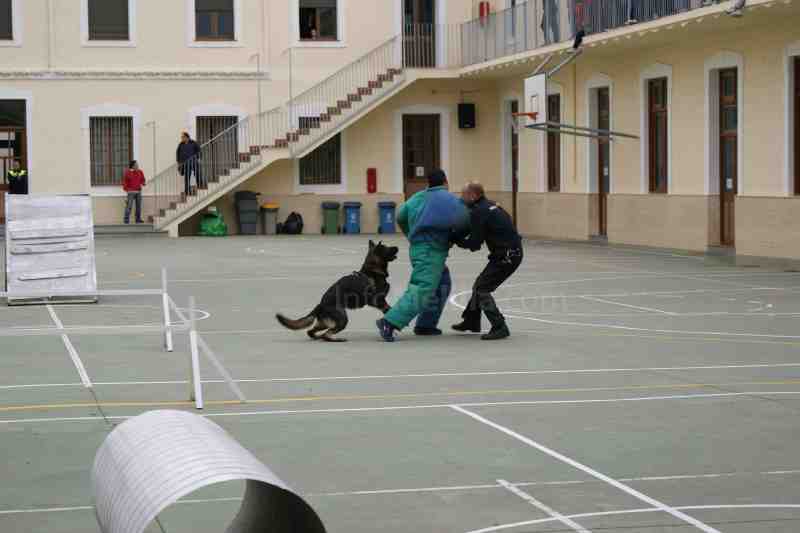 La Unidad Canina de la Policía Local se acerca a los centros docentes de Melilla
