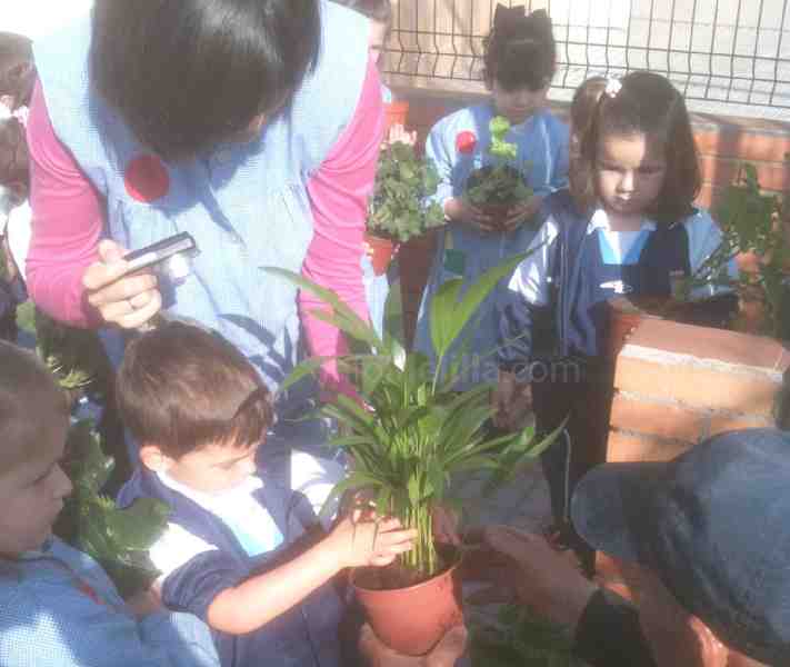 El Colegio Enrique Soler da un paso decisivo para convertirse en 'Ecoescuela'