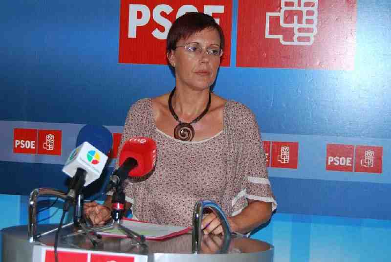 Mansilla: "El único objetivo del Gobierno central es garantizar la recuperación económica y el Estado del bienestar"