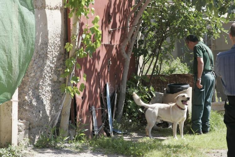 Todas las imágenes del gran simulacro en InfoMelilla.com