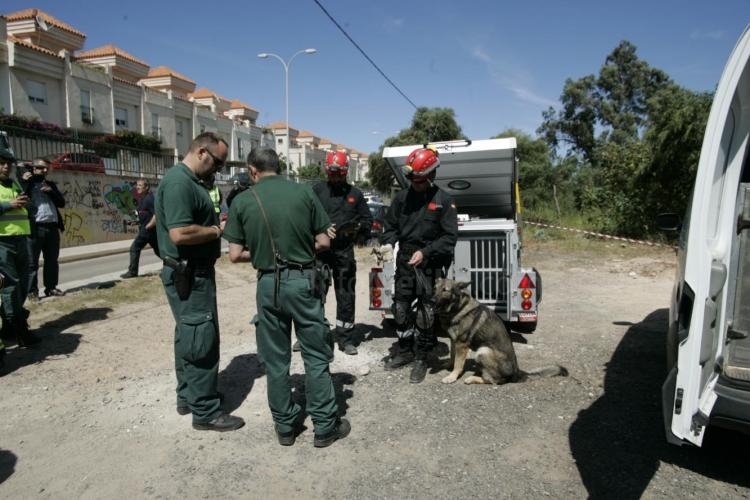 Todas las imágenes del gran simulacro en InfoMelilla.com